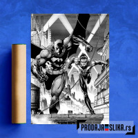 Batman and Nightwing