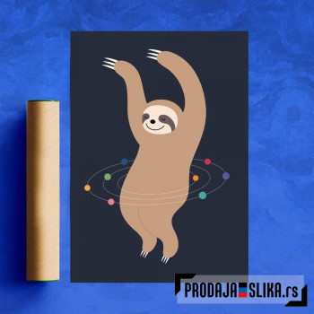 Sloth Galaxy