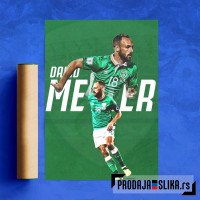 David Meyler Poster David Meyler Poster