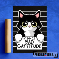 Bad cattitude cat prisoner