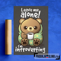 Introvert bear Introvert bear