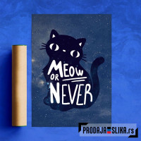 Meow or never Meow or never
