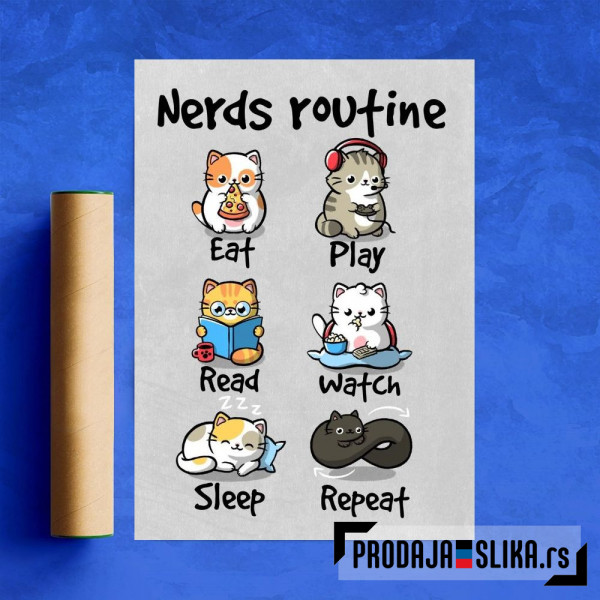 Nerds routine Nerds routine