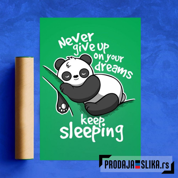 Never give up on your dreams, keep sleeping Never give up on your dreams, keep sleeping