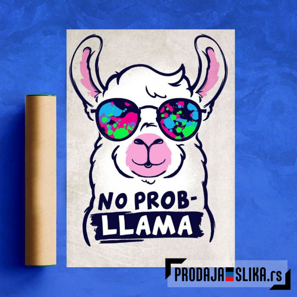 No probllama llama