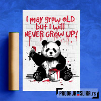 Panda never grow up Panda never grow up