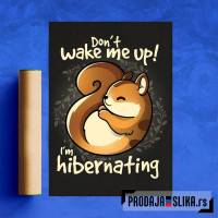 Veverica u hibernaciji