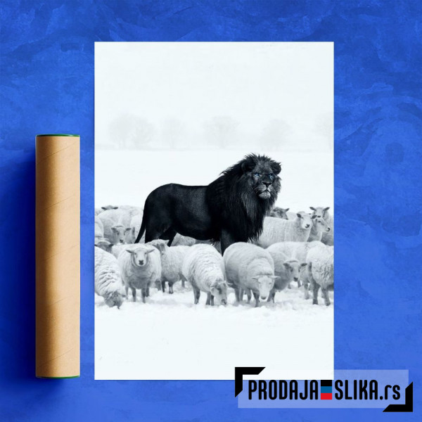 Lion among Sheep Lion among Sheep