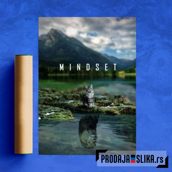 Mindset Is Everything 3
