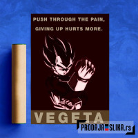Vegeta Dragon Ball Z
