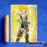 Dragon Ball 5