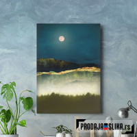 Midnight Moonlight