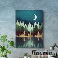 Star Forest Reflection