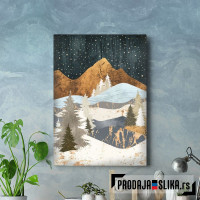 Winter Stars