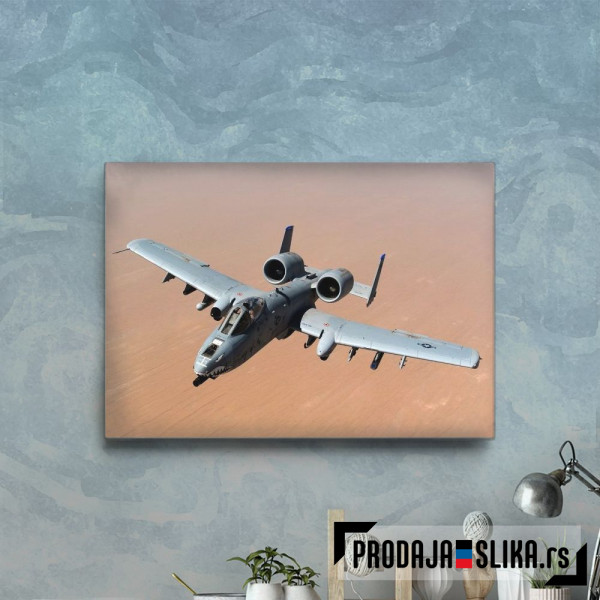 A10 Hunderbolt Warthog