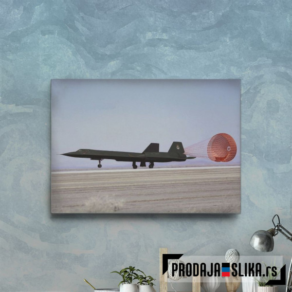 Blackbird Aircraft 2