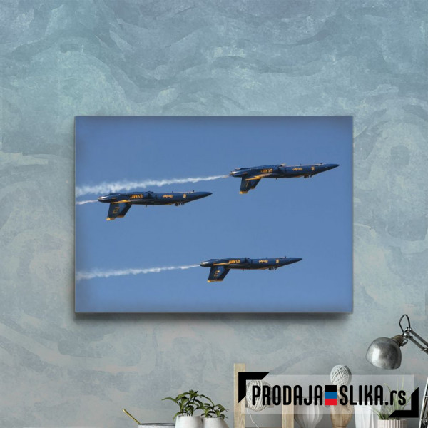 Blue Angels F 18 Hornet