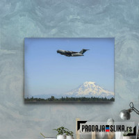 C 17 Globemaster Airplane