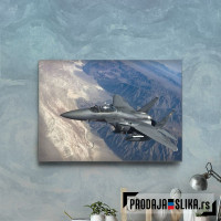 F 15 Military Fighter Jet