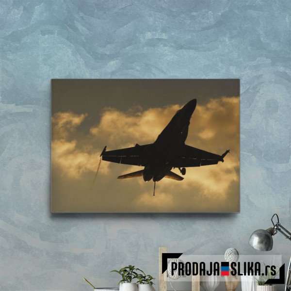 F 18 Military Jet Fighter 3