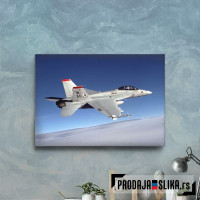 F 18 Military Jet Fighter