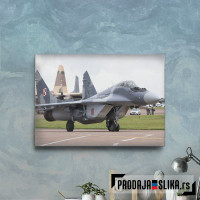 MiG 29 Russian Jet Fighter 2