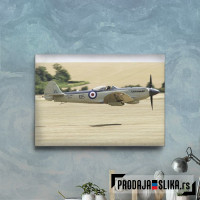 Supermarine Seafire F XVII