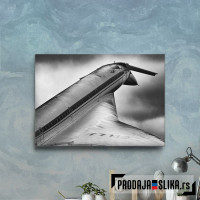 Tupolev Tu144 Airplane