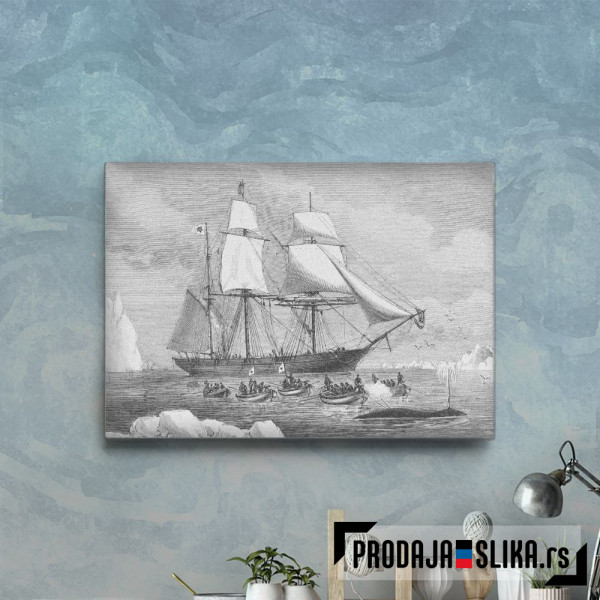 Whale Hunting in Arctic Whale Hunting in Arctic