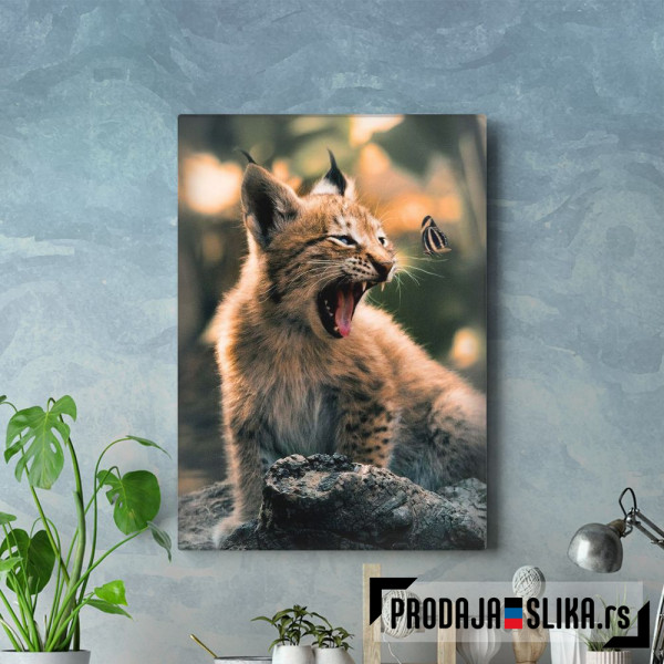 The Lynx Cub and Butterfly