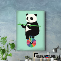 Panda na monociklu Panda na monociklu