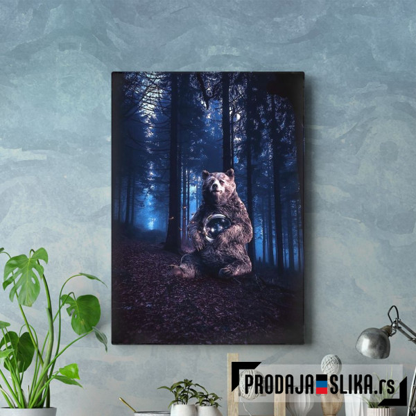 Bear and astronaut helmet