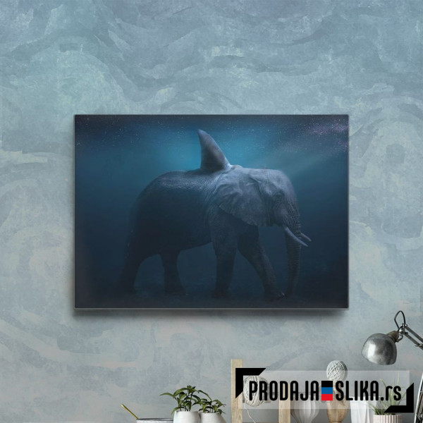 Fantastic Sea Elephant