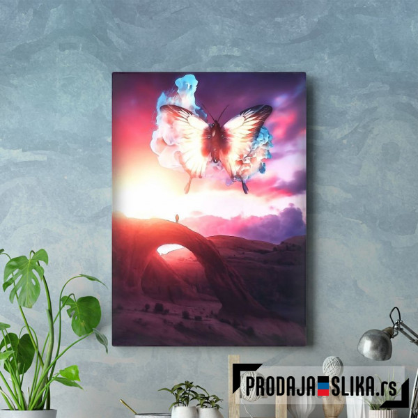 Surreal butterfly Surreal butterfly