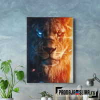 The king of the Jungle The king of the Jungle