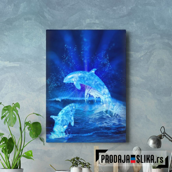 Water blue dolphins