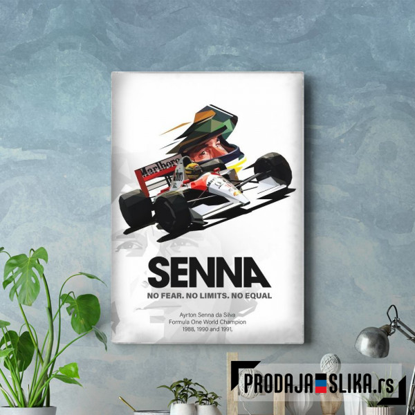 Ayrton Senna Low Poly