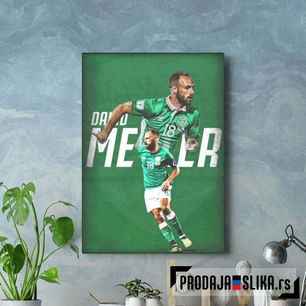 David Meyler Poster