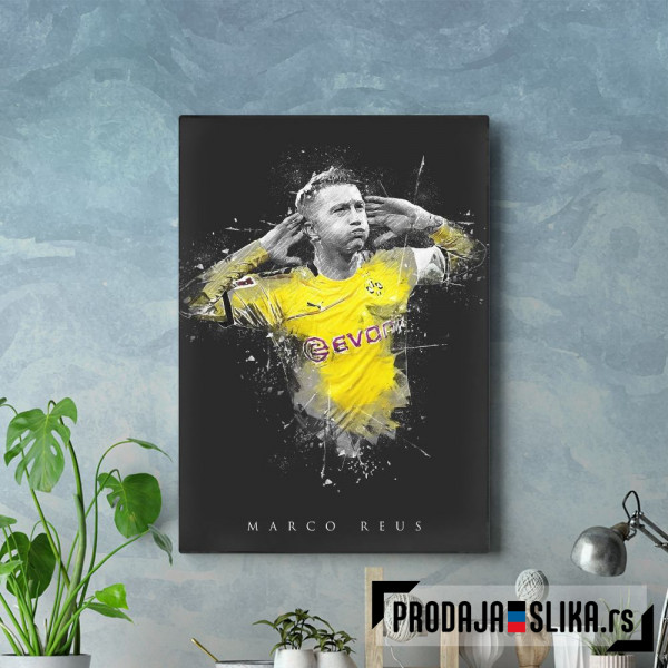 Marko Rojs