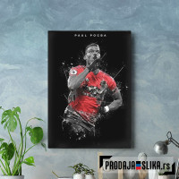 Pol Pogba