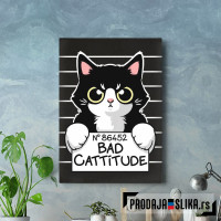 Bad cattitude cat prisoner