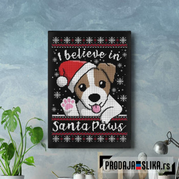 I believe in santa paws