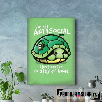 I_m not antisocial, I just prefer to stay at home