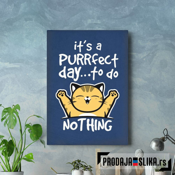 It_s a purrfect day to do nothing
