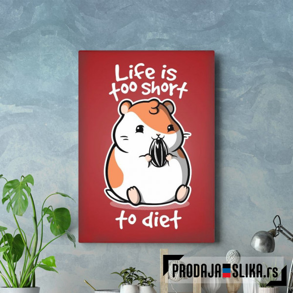 Life is too short to diet