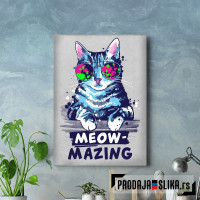 Meow mazing amazing cat