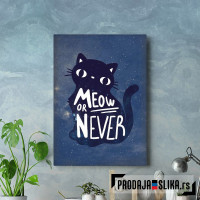 Meow or never