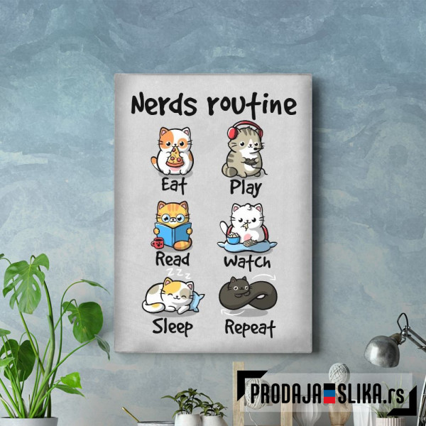 Nerds routine