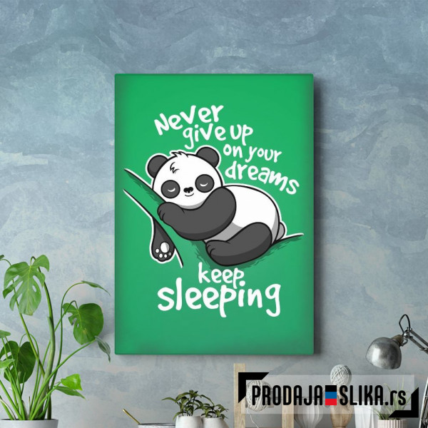 Never give up on your dreams, keep sleeping
