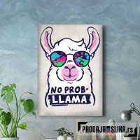 No probllama llama